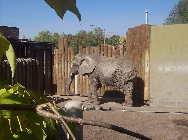 Utah’s Hogle Zoo